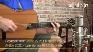 Tom Bills G2 Acoustic Guitar Demo at Sound Pure