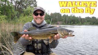 Fly Fishing for Walleye! (bass and pike too!)