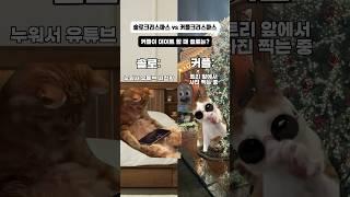 솔로크리스마스vs커플크리스마스 비교 ㅋㅋ #고양이밈 #크리스마스