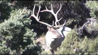 Elk101.com Webisode #22 - Brian Morris Elk Hunt