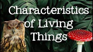 5 Characteristics of Living Organisms: Qualities of Living Things for Kids - FreeSchool