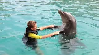 Garrett's Dolphin Adventure