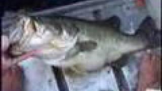 11 Pound Bass!!!! Largemouth bass fishing in Alabama.