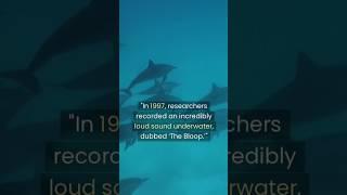 The Bloop The Ocean's Loudest Mystery from#stories 1997#shorts#facts #mysterioushistory#thebloop