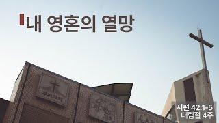 대림절 제4주 예배 (2024년 12월 22일)