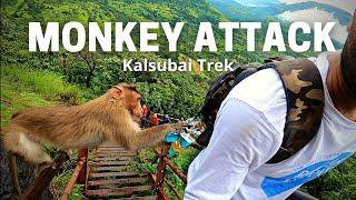 Monkey Attacked me during Kalsubai Trek