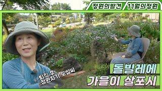 돌빌레에 가을이 살포시 Pine Garden of Autumn | 정원의 발견 Wonders of Garden | KBS제주 20211105 방송