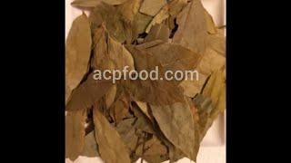 Bay Leaves For Sale. Best Bay Leaves to buy. Bay Leaf Price. Wholesaler, Supplier, Provider, Seller.