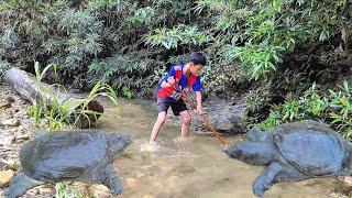 Full video: The life of a poor boy in the highlands, hunting alone for a living