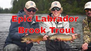 Monster Brook Trout Adventure In Labrador