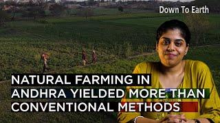 Natural farming in Andhra yielded more produce than chemical methods, shows study