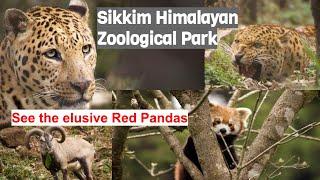 Gangtok Zoo - Sikkim Himalayan Zoological Park