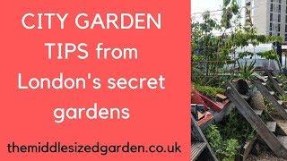 City garden tips from London's secret gardens