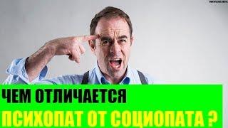 Чем отличается психопат от социопата?