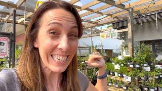 The Excitement is REAL! Shopping for Native Wildflowers in Florida 