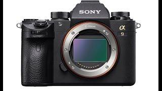 Sony A9 Official Preview: Dual SD Cards, "Extended Battery", Blackout-Free Shooting & More!