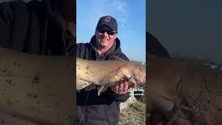 cage rage Outdoors catfishing