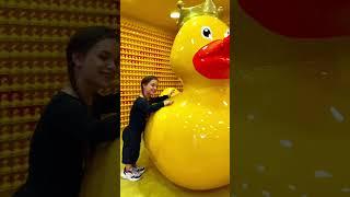 How many ducks are there? #tiktok