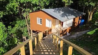 Quick update on painting the cabin