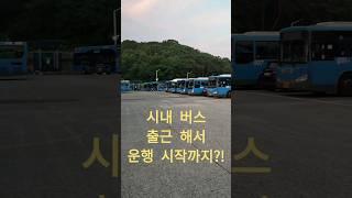 시내 버스 기사 출근은?!#shorts