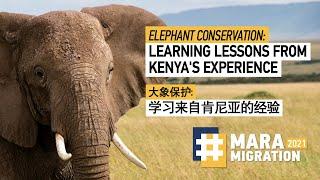 Elephant conservation: learning lessons from Kenya's experience