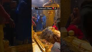 Kedarnath live darshan today, kedarnath yatra 2023। Like or Subscribe kare