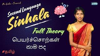 பெயர்ச்சொற்கள் சிலவற்றின் தொகுப்பு | Full Theory | Pi Code - Tamil