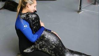 Animal-Human Friendships That Show What True Love & Loyalty Are All About