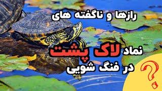 نمادلاکپشت درفنگ شویی: فنگشویی و ناگفته های نمادلاک پشت.#elikha#فنگشویی#نمادلاکپشت.