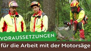 Was braucht man alles um im Wald Holz zu machen?