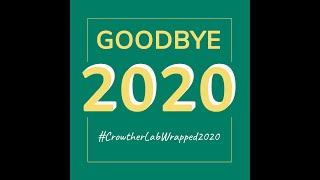 Crowther Lab Wrapped 2020 | Year in Review