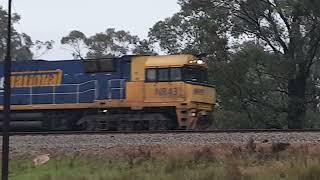 Trains of Western Australia...Rail fanning Cobblers pool...8th August 2021