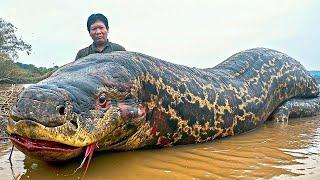 LUMITAW ANG KILABOT NG AMAZON RIVER NA SIYANG IKINAGULAT NG MANGINGISDA