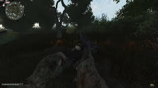 Stalker Anomaly Settings Test #4 (4 of 8)
