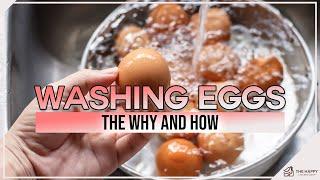 If You Don't Wash Your Chicken Eggs YOU NEED TO HEAR THIS