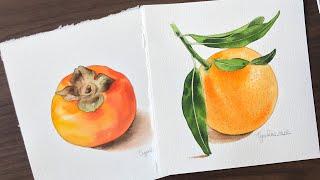 수채화로 과일 그리기 / 또렷한 연필선에 의지해서 편안하게 그려보세요 / Watercolor / painting watercolor persimmon and orange