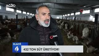 Köyüne Döndü Çiftlik Kurdu 432 Ton Süt Üretiyor! / AGRO TV HABER