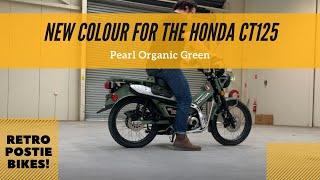 Honda "POSTIE BIKE" CT125 I New Colour I Pearl Organic Green