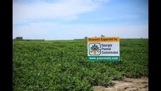 2022 Georgia Peanut Commission Research Report Day