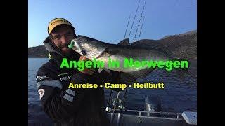 Angeln in Norwegen mit Stefan Seuß, Angelreise auf Heilbutt, Dorsch, Pollack, Seelachs, Angelurlaub