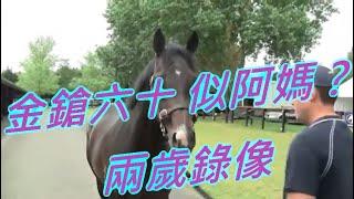 金鎗六十⭐似阿媽or爸?兩歲錄像阿媽小鴨變天鵝 Golden Sixty's 2yo videos, and mum's story