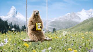 Prenez juste un Ricola | "Mini Meadow" Publicité 2021 | 30s | FR | RICOLA