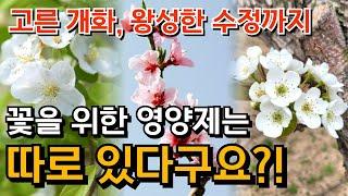 꽃 피기 전에 이 영상을 본다면 올해 농사는 확실히 다릅니다 #과수#과채#개화#수정