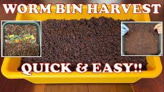 Easy Way to Harvest a Worm Tower + New Feeding & Cocoon Nursery Start | Vermicompost Worm Farm