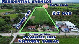 lo551 residential farmlot newr town near tplex along provincial road business area 2.7has 1200/sqm