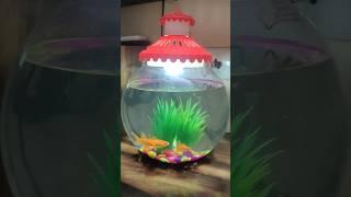 #fish bowl#golden fish #fishlover️#shorts #shortsvideo #youtubeshorts