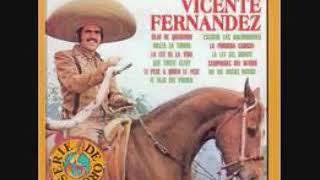 LALEY DELAVIDA VICENTE FERNÁNDEZ