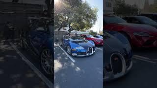 The BUGATTI Veyron is just majestic.