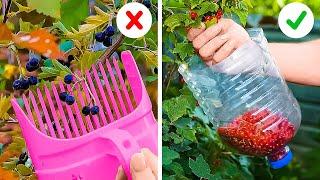 Gardening Crafts To Make Growing Fruits And Vegetables A Breeze