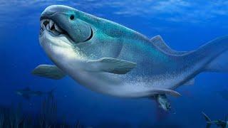 What Was Life Like During The Devonian Period?